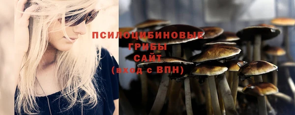 бутират Богородицк