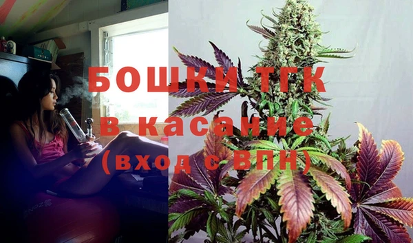 прущие грибы Богородск