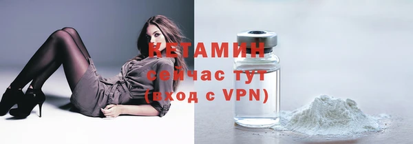 прущие грибы Богородск