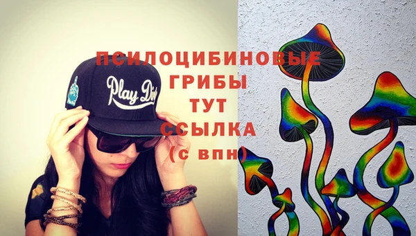 наркотики Богданович