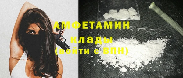 прущие грибы Богородск