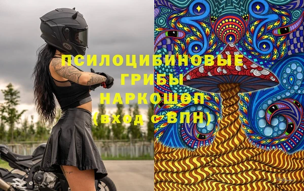 стаф Бугульма